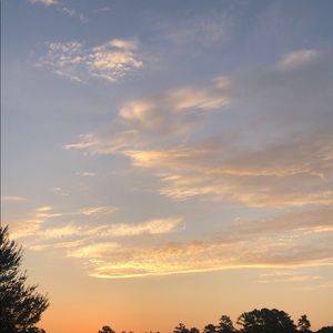 Meet your Posher, Lizzie